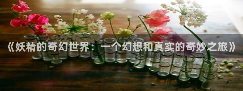 www.香蕉漫画：《妖精的奇幻世界：一个幻想和真实的奇妙之旅》